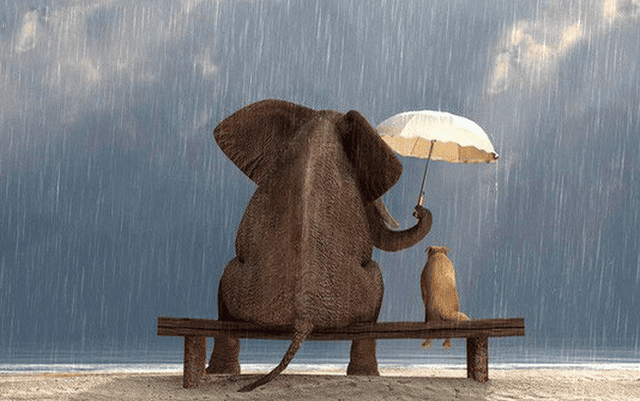 Chuyện cậu nhân viên quèn bất ngờ được mời làm trợ lý của vua thép; nữ giám đốc mất chức vì một câu nói của ông lão quét rác: Bài học thăng hạng đời người nên nhớ! - Ảnh 2.